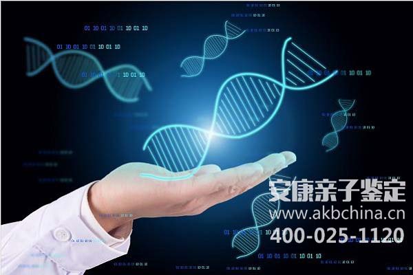 滁州怀孕几个月后可以做DNA亲子鉴定多少钱 