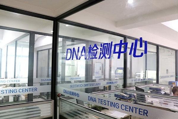 滁州全国统一采血DNA入库（一探全国DNA数据库的建设和运行机制） 